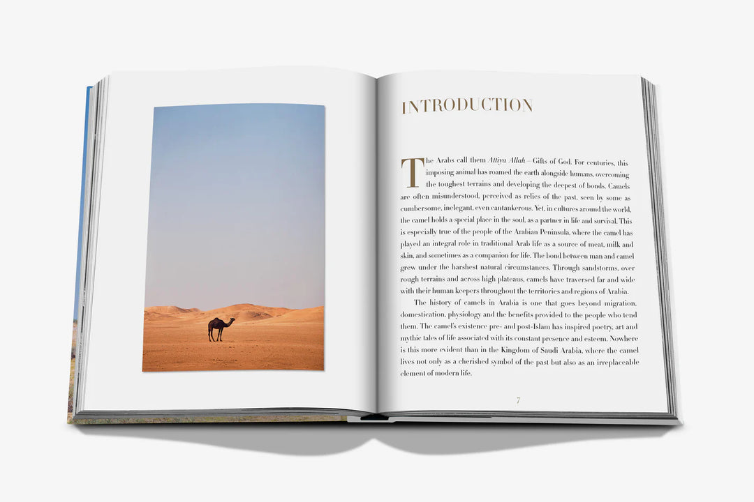 Camels from Saudi Arabia (Classic) Print Books Assouline