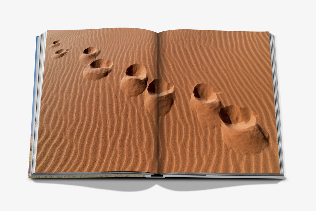 Camels from Saudi Arabia (Classic) Print Books Assouline