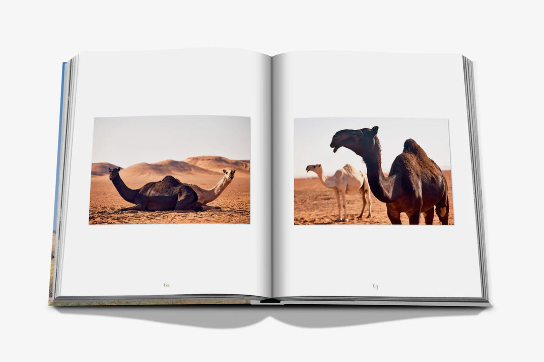 Camels from Saudi Arabia (Classic) Print Books Assouline