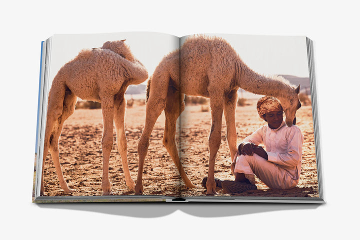 Camels from Saudi Arabia (Classic) Print Books Assouline