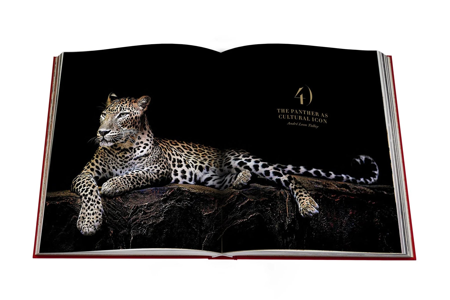 Cartier Panthere Book Italian Luxury Interiors