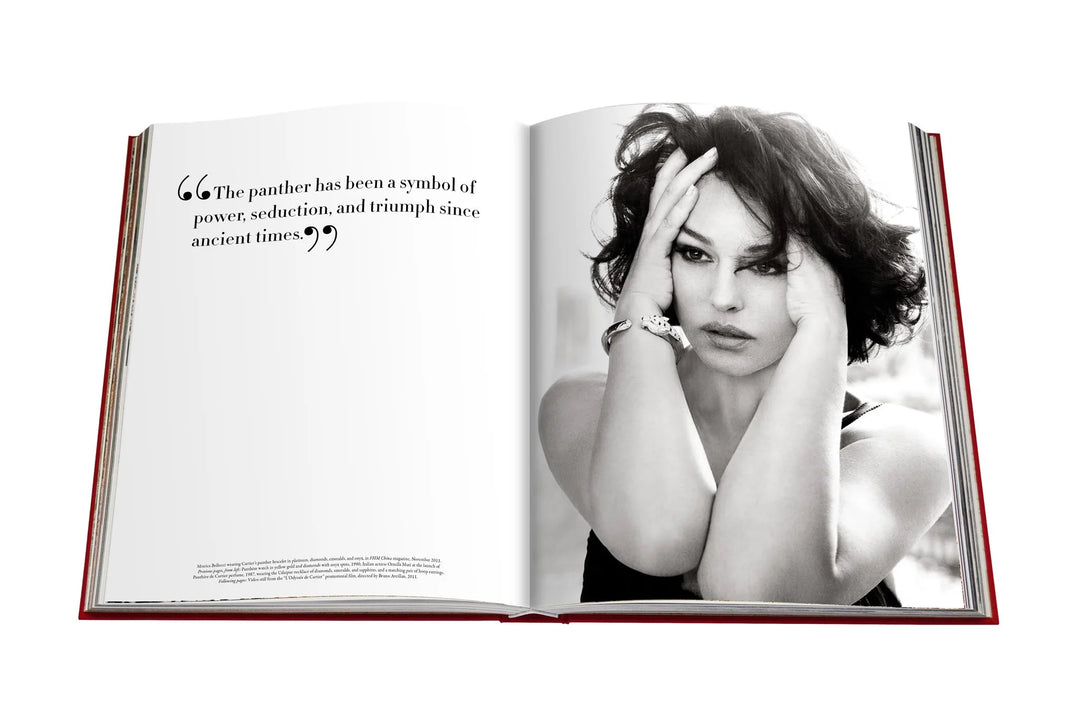 Cartier Panthère Book – Italian Luxury Interiors Cartier Panthère Book – Italian Luxury Interiors