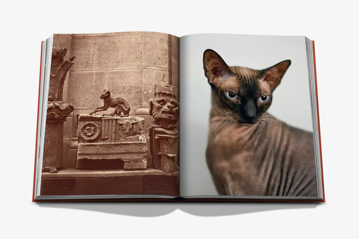 Chic Cats Book Print Books Assouline