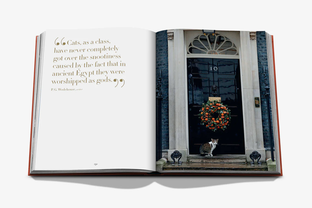 Chic Cats Book Print Books Assouline