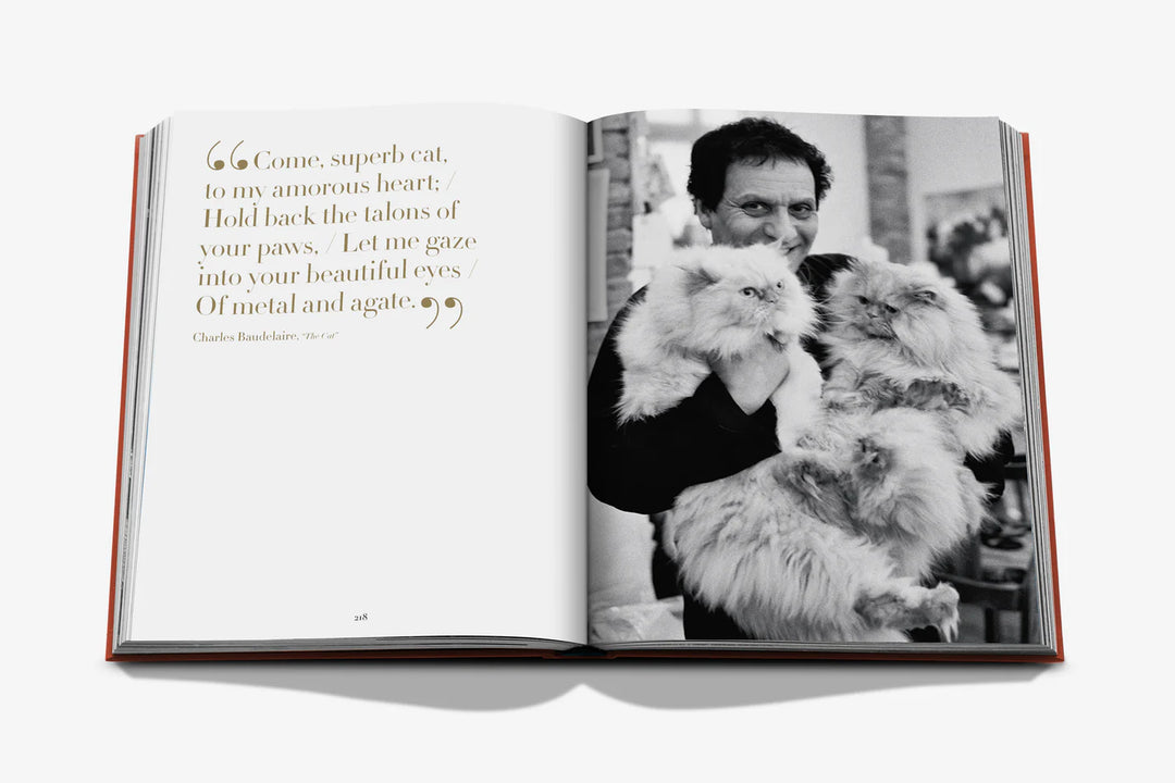 Chic Cats Book Print Books Assouline