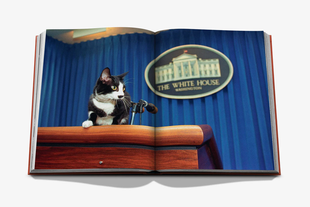 Chic Cats Book Print Books Assouline