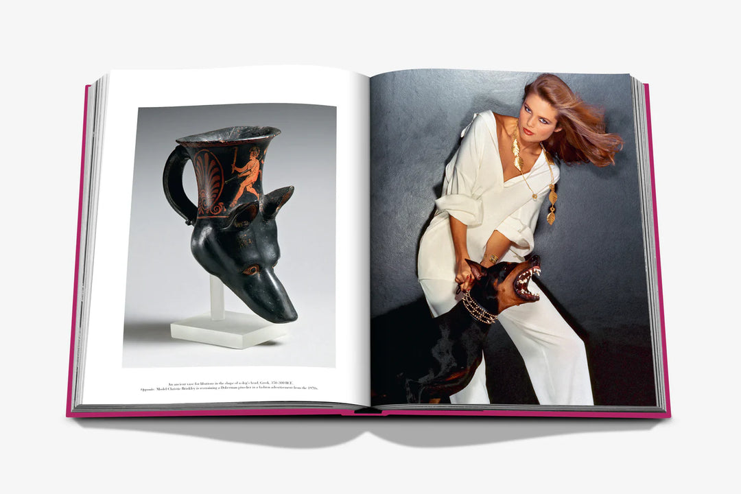 Assouline Chic Dogs Book Books Assouline