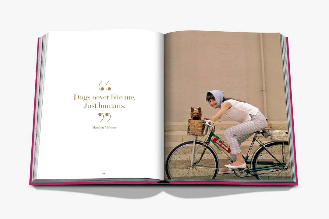 Assouline Chic Dogs Book Books Assouline