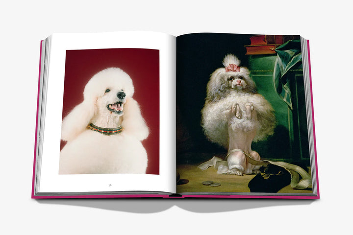 Assouline Chic Dogs Book Books Assouline