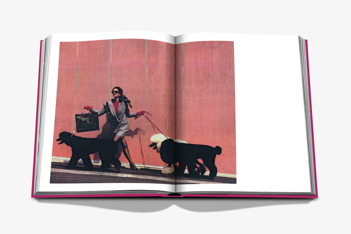 Assouline Chic Dogs Book Books Assouline