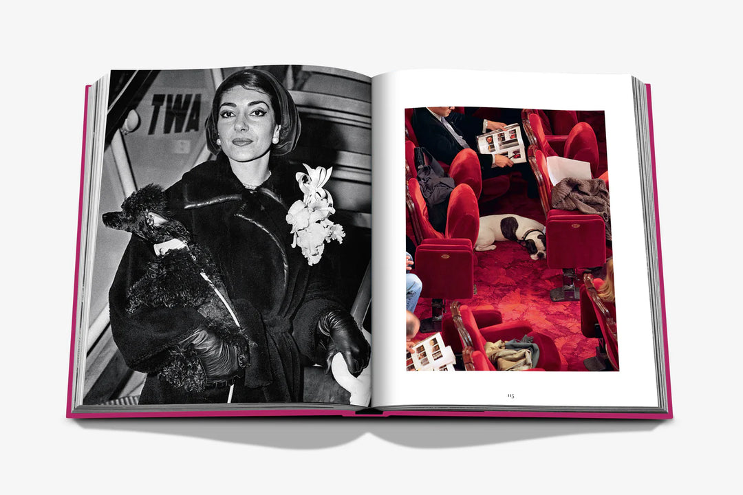 Assouline Chic Dogs Book Books Assouline