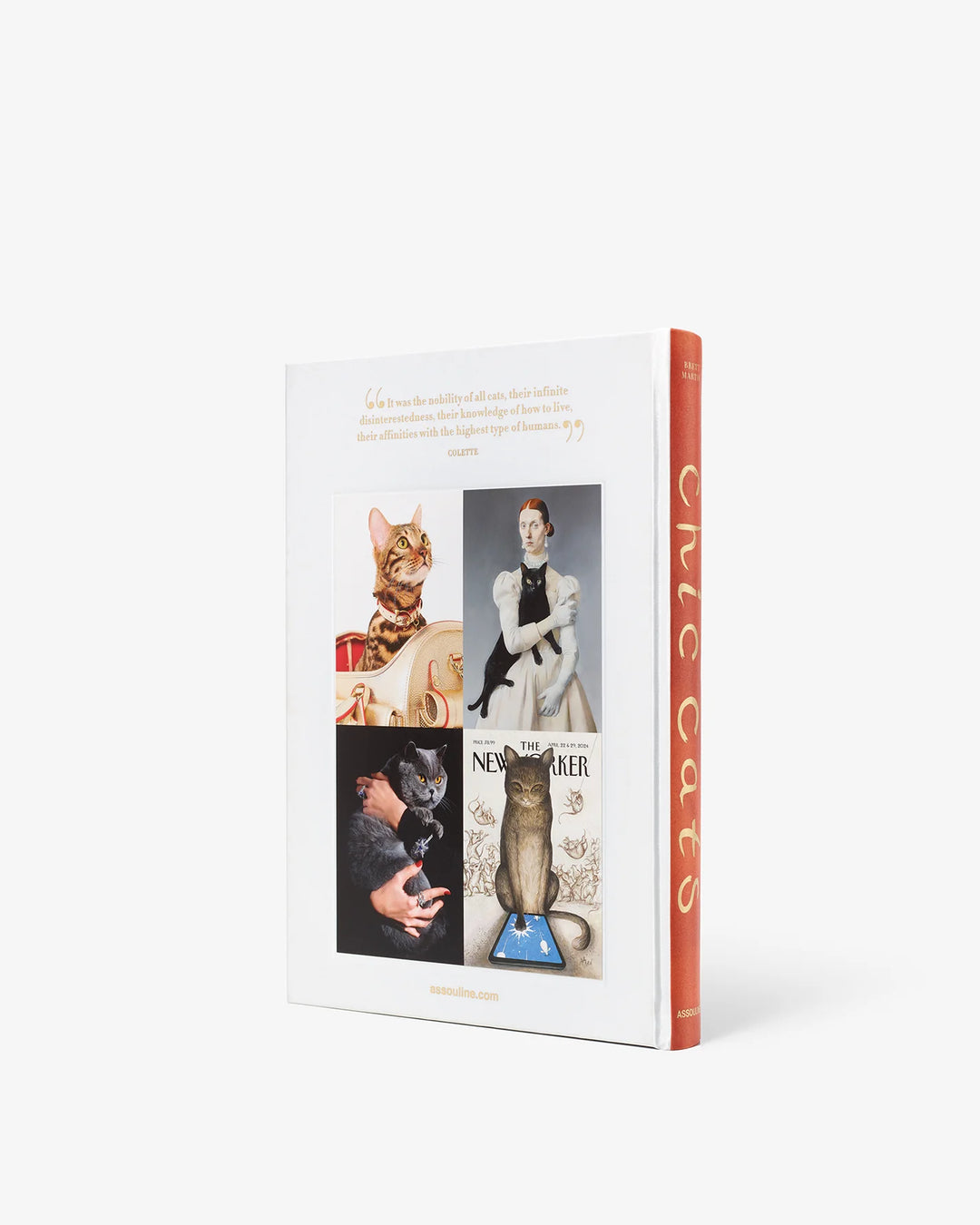 Chic Cats Book Print Books Assouline