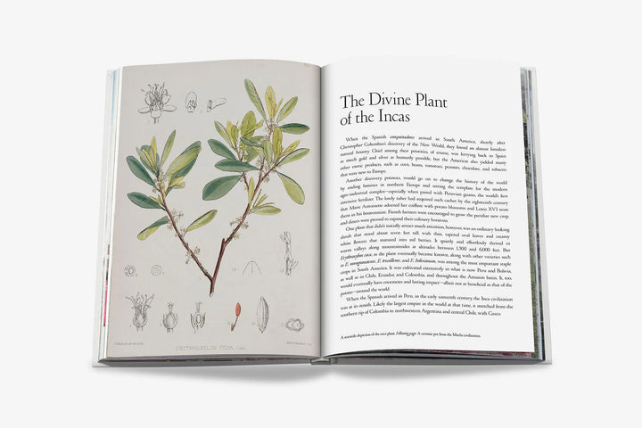 Cocaïn: History & Culture Book Print Books Assouline