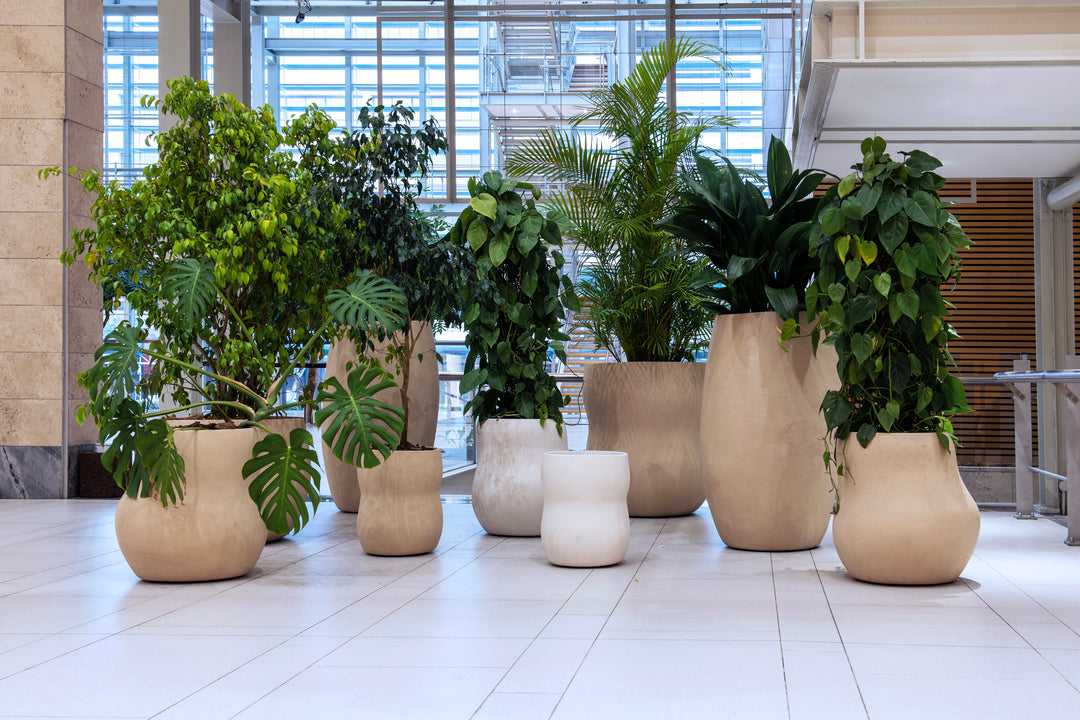 Pebble Planter – Extra Small Outdoor Planters Indigenus