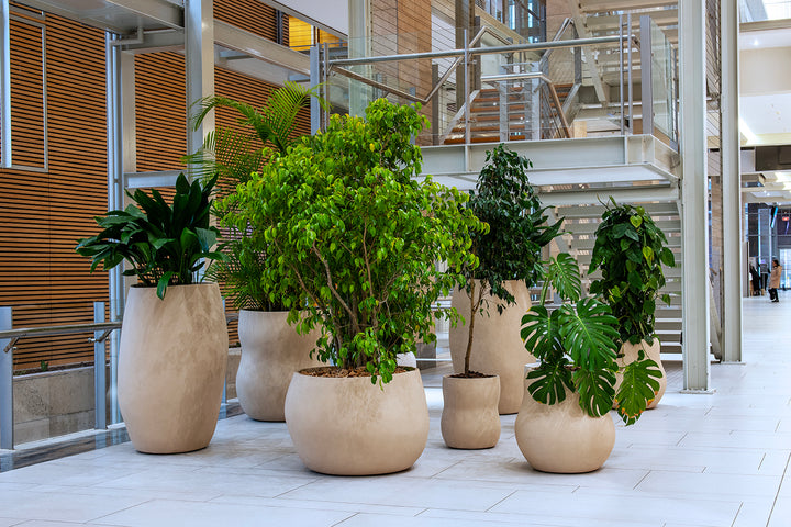 Pebble Planter – Midi Outdoor Planters Indigenus