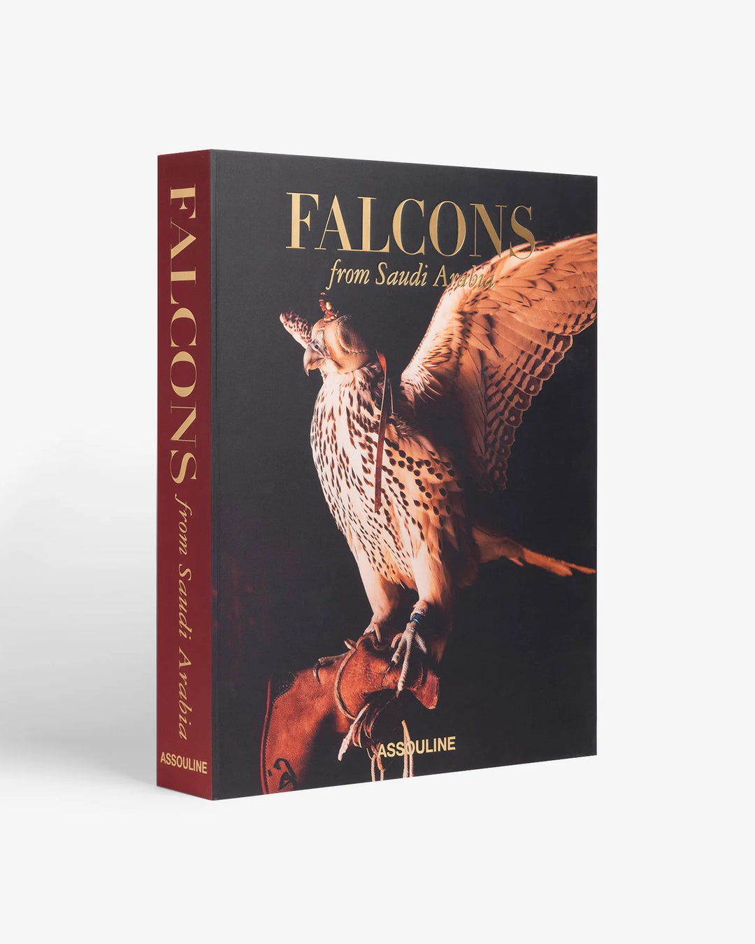 Falcons from Saudi Arabia Book Print Books Assouline