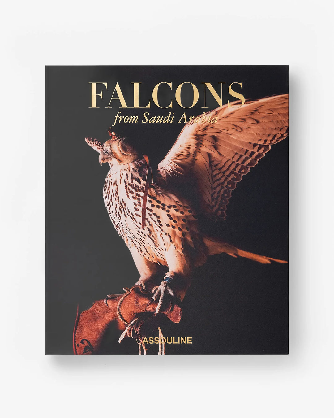 Falcons from Saudi Arabia Book Print Books Assouline