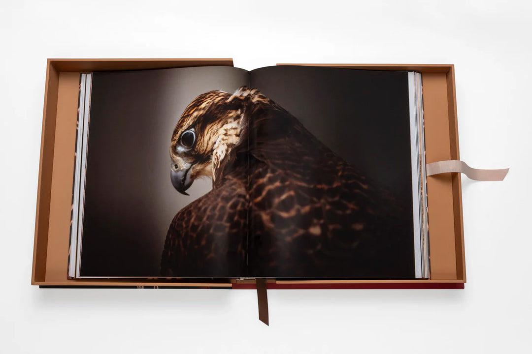 Falcons from Saudi Arabia Book Print Books Assouline
