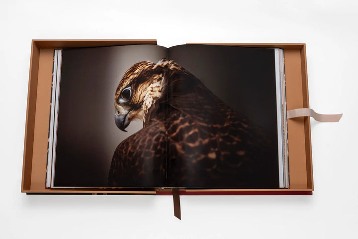Falcons from Saudi Arabia Book Print Books Assouline