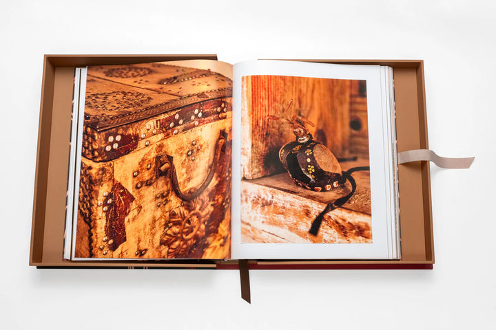 Falcons from Saudi Arabia Book Print Books Assouline