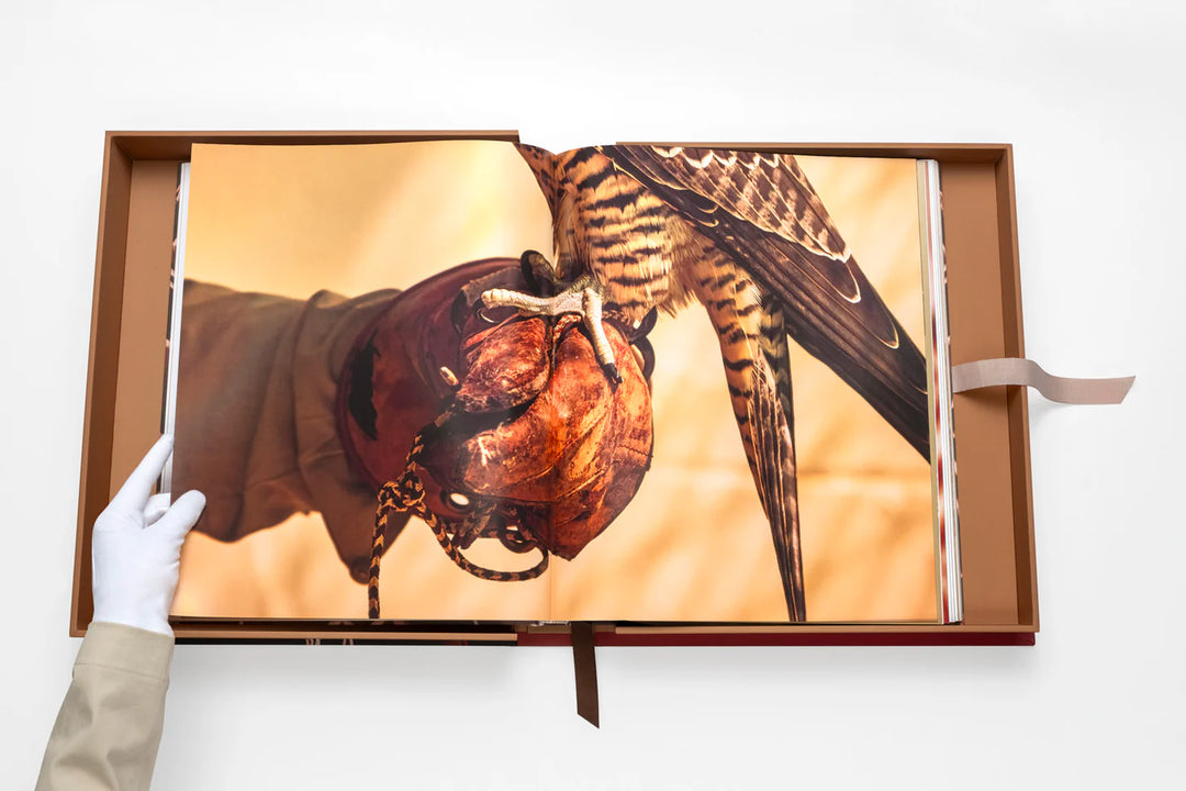 Falcons from Saudi Arabia Book Print Books Assouline