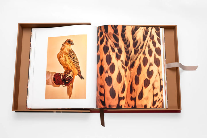 Falcons from Saudi Arabia Book Print Books Assouline