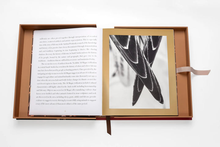 Falcons from Saudi Arabia Book Print Books Assouline