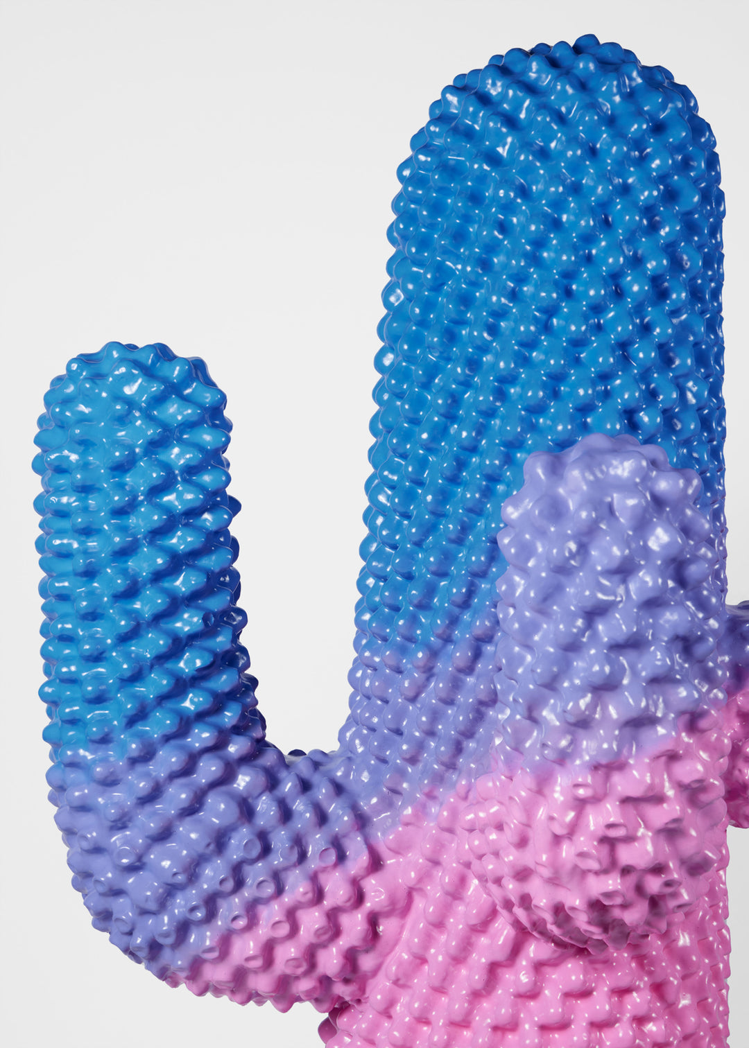 Sunrise Cactus Coat Stand Storage Gufram   