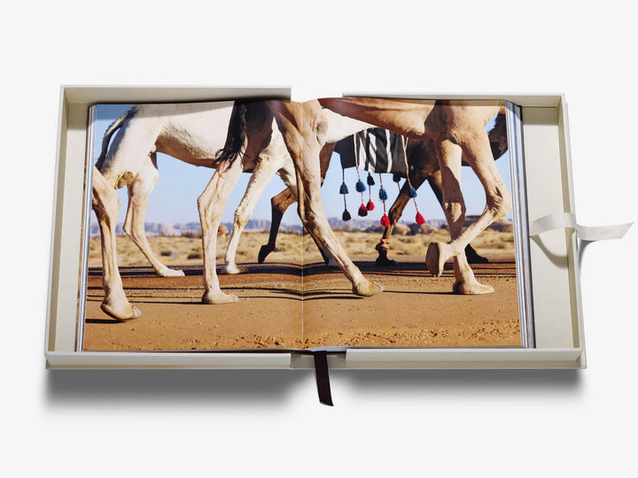 Grace in the Desert: The Beauty of Saudi Arabia's Camels Book Print Books Assouline