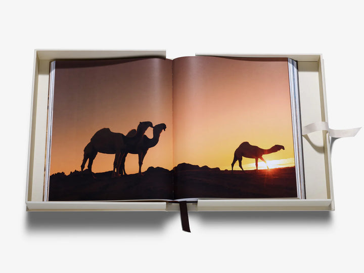 Grace in the Desert: The Beauty of Saudi Arabia's Camels Book Print Books Assouline