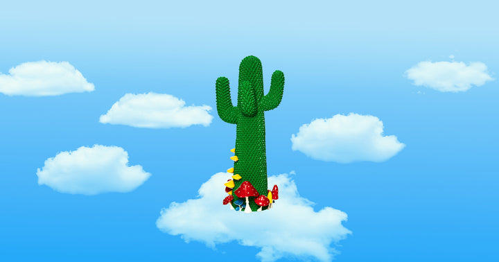 Shroom Cactus Storage Gufram   