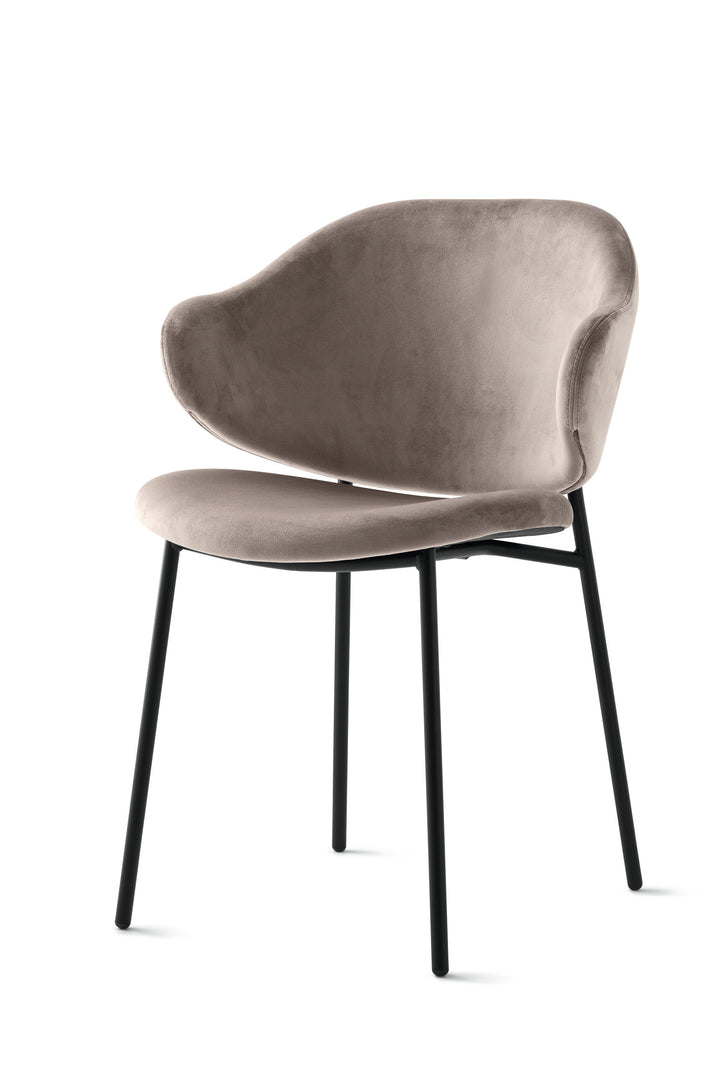 Holly Chair Matt Black Sand  Calligaris   