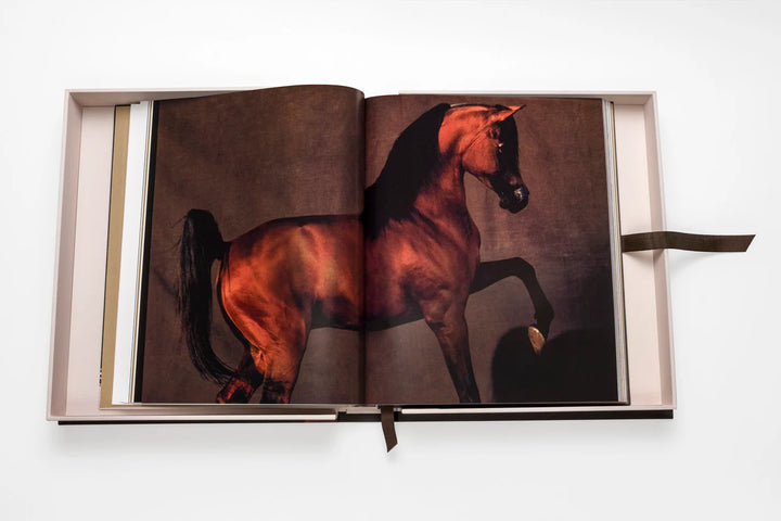 Horses from Saudi Arabia Book Print Books Assouline