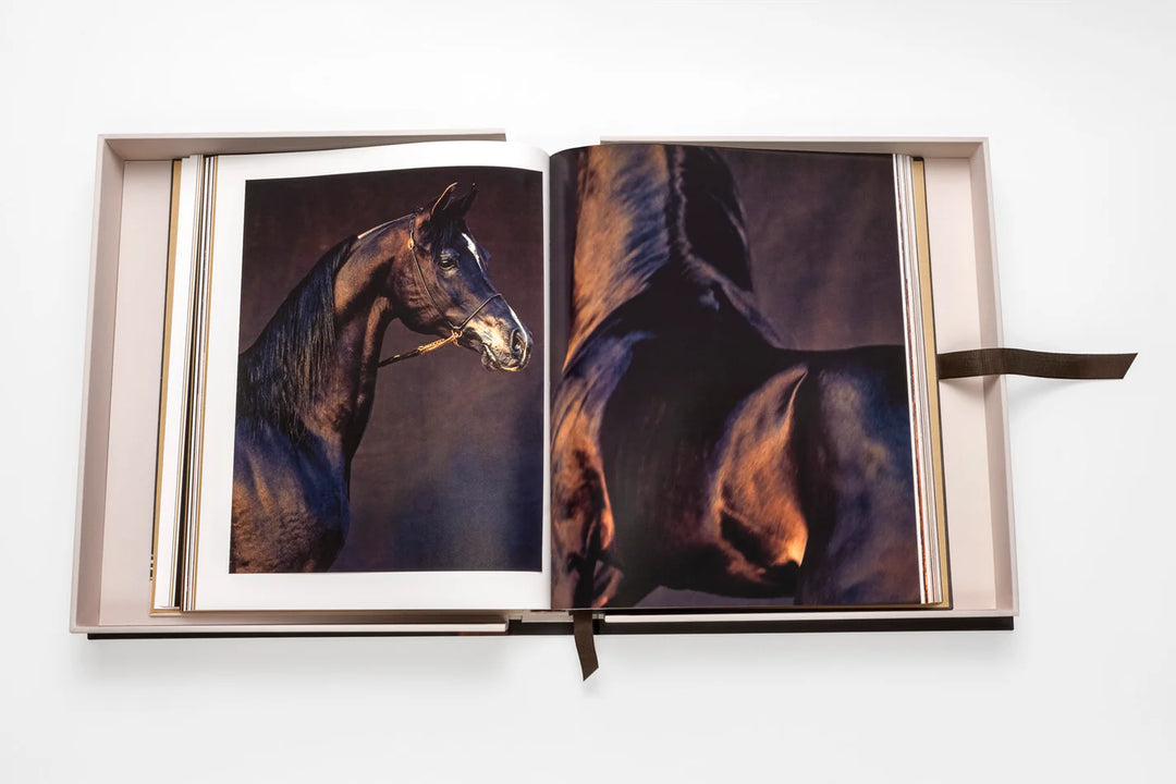 Horses from Saudi Arabia Book Print Books Assouline