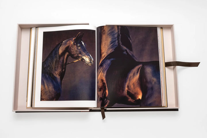Horses from Saudi Arabia Book Print Books Assouline