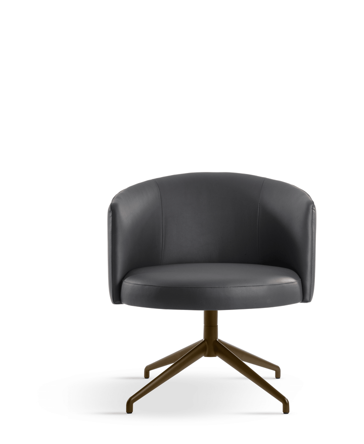 JANE LOUNGE DINING CHAIR Dining Chair Eforma   