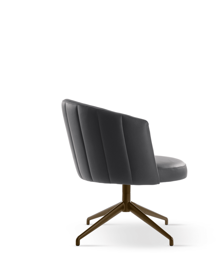 JANE LOUNGE DINING CHAIR Dining Chair Eforma   