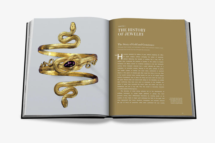 Jewelry Guide: The Ultimate Compendium Book Print Books Assouline