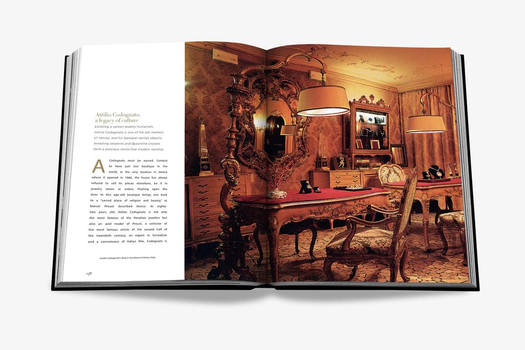 Jewelry Guide: The Ultimate Compendium Book Print Books Assouline