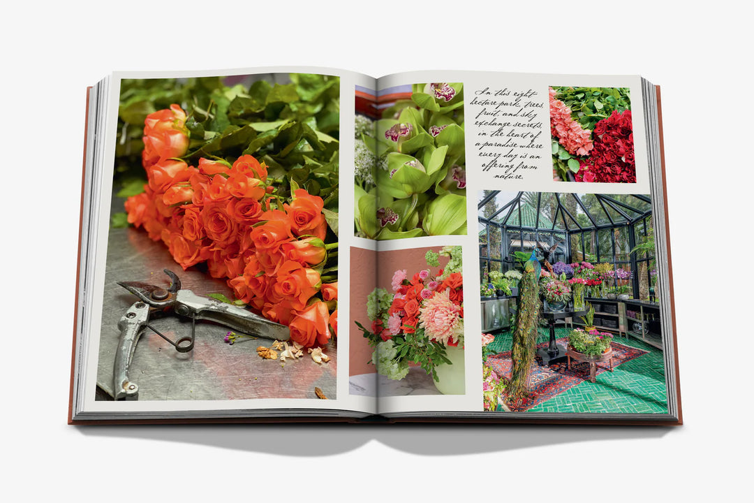 La Mamounia Marrakech Book Print Books Assouline