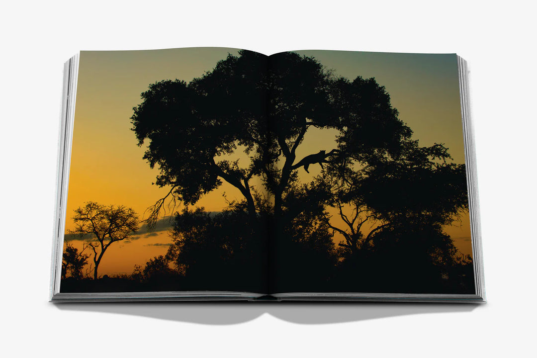 Londolozi: The Safari that Changed Everything Book Print Books Assouline
