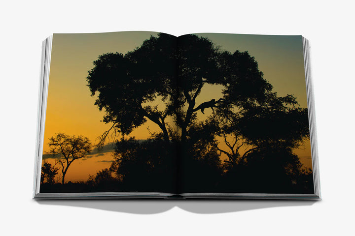 Londolozi: The Safari that Changed Everything Book Print Books Assouline