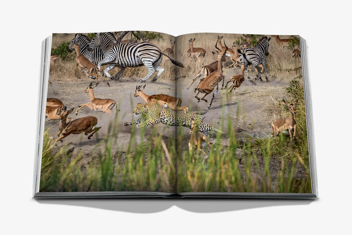 Londolozi: The Safari that Changed Everything Book Print Books Assouline