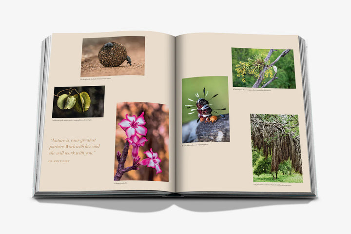 Londolozi: The Safari that Changed Everything Book Print Books Assouline