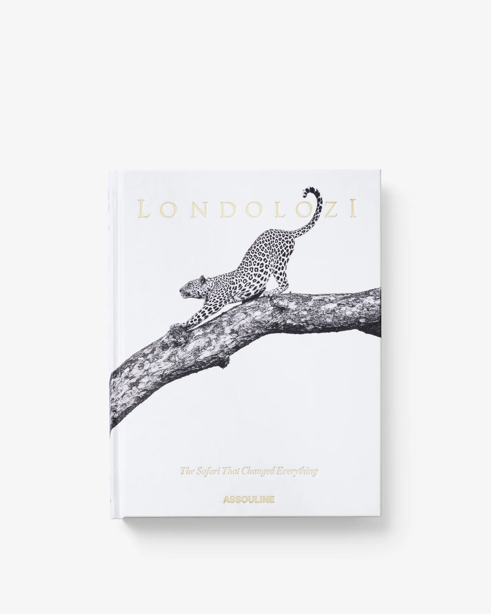 Londolozi: The Safari that Changed Everything Book Print Books Assouline