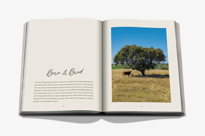 Malhadinha: The Soul of Alentejo Book Print Books Assouline