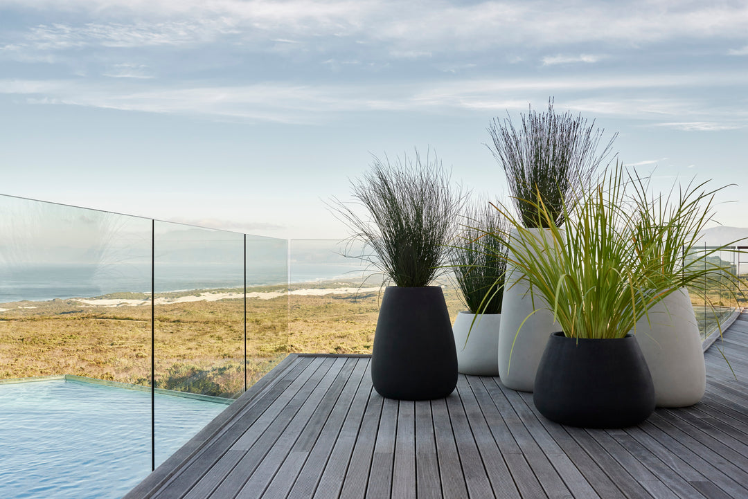 Tuber Planter – Small Outdoor Planters Indigenus