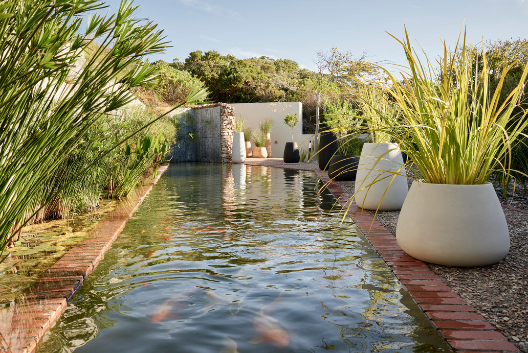 Tuber Planter – Small Outdoor Planters Indigenus