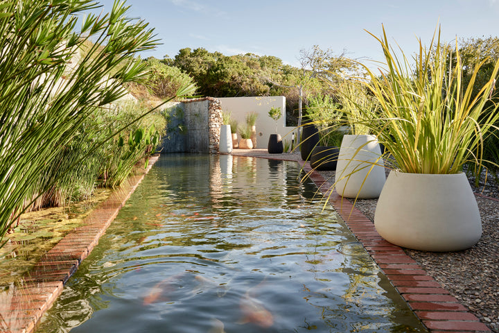 Tuber Planter – Small Outdoor Planters Indigenus