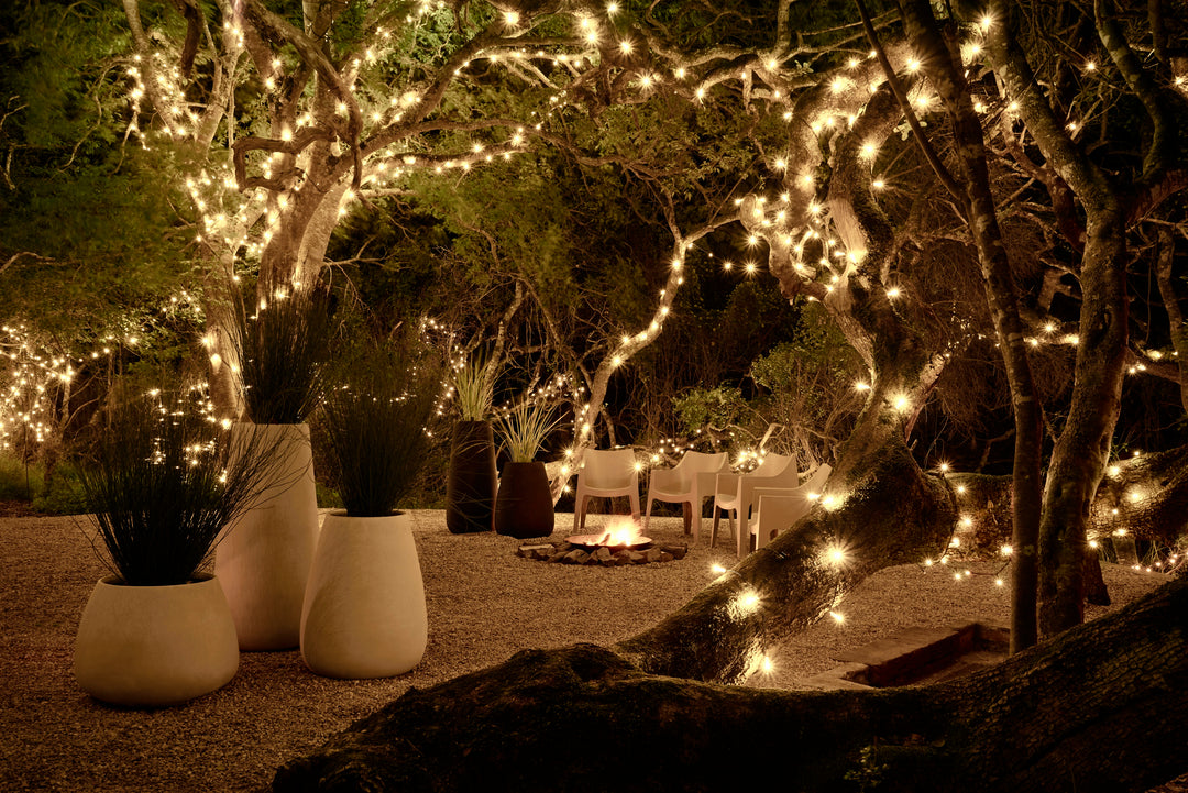 Tuber Planter – Small Outdoor Planters Indigenus